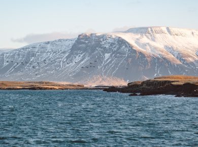 Photo Island landscape