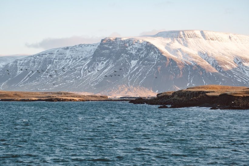 Photo Island landscape